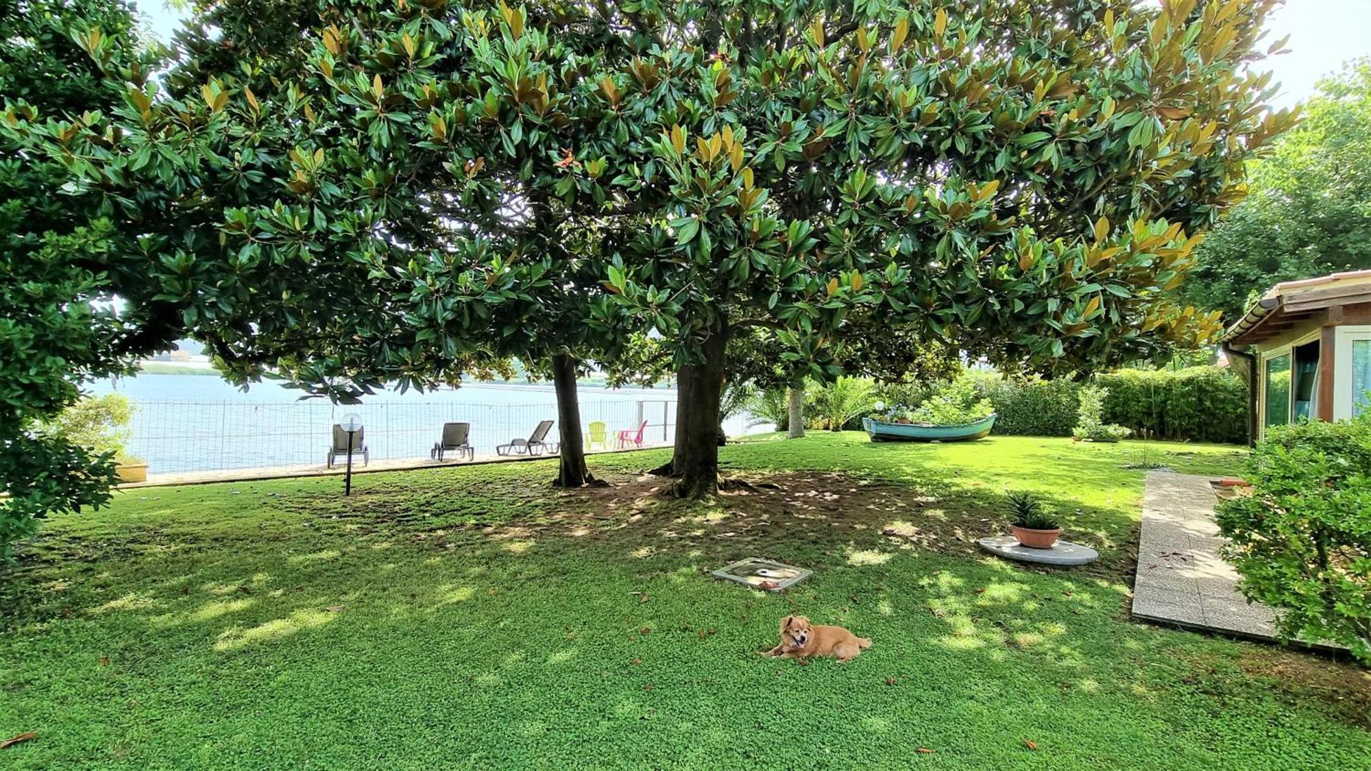 Villa Cecilia Sul Lago Fronte Mare 스펠론가 외부 사진